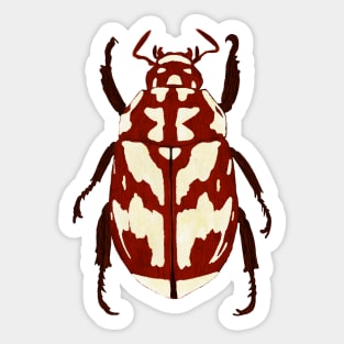 Red beetle insect Sticker